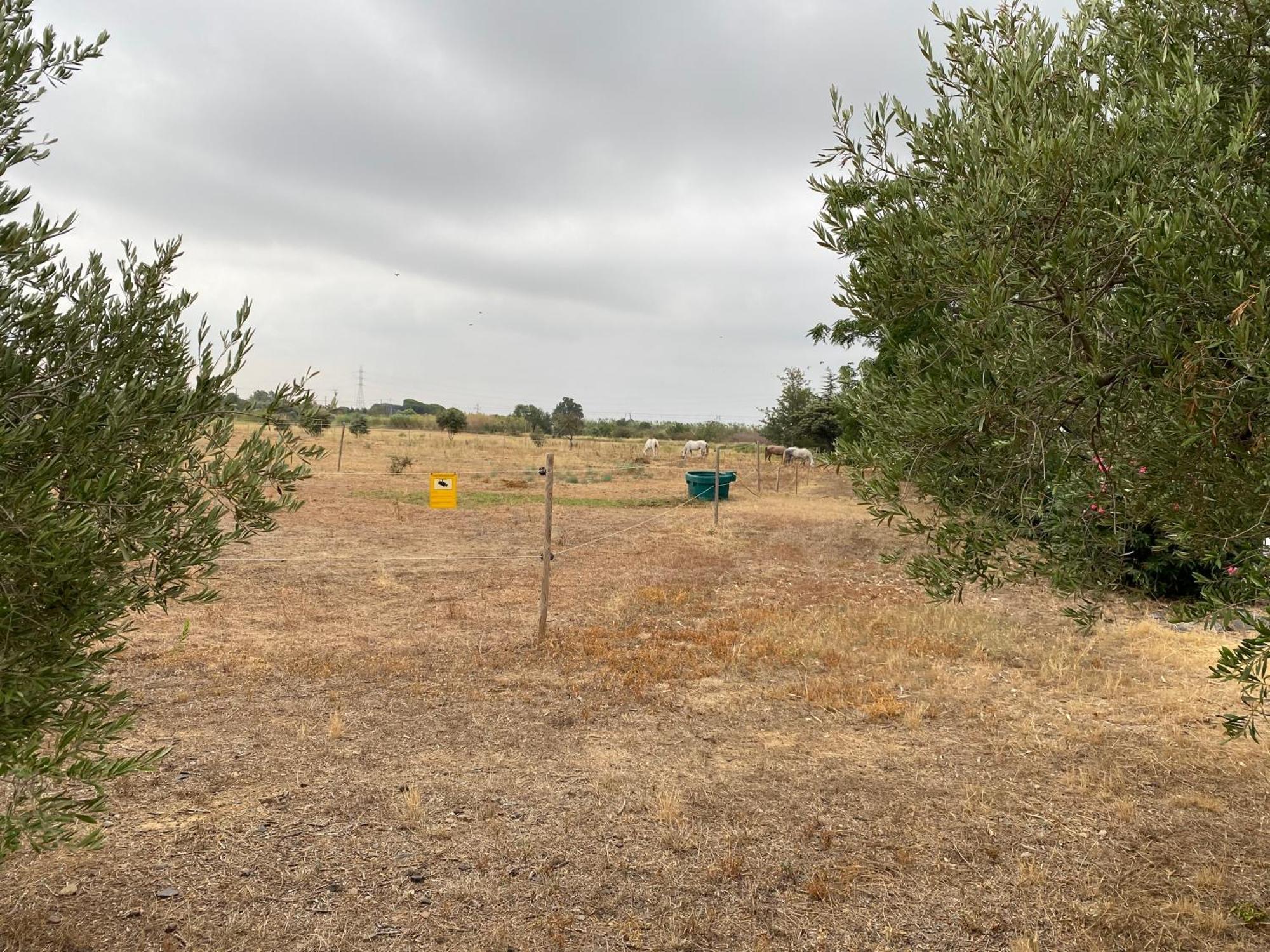 Villa Lo Tros Botarell Esterno foto