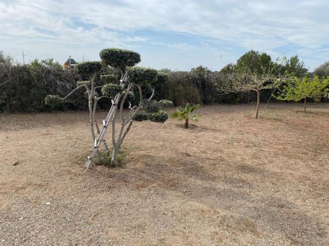 Villa Lo Tros Botarell Esterno foto